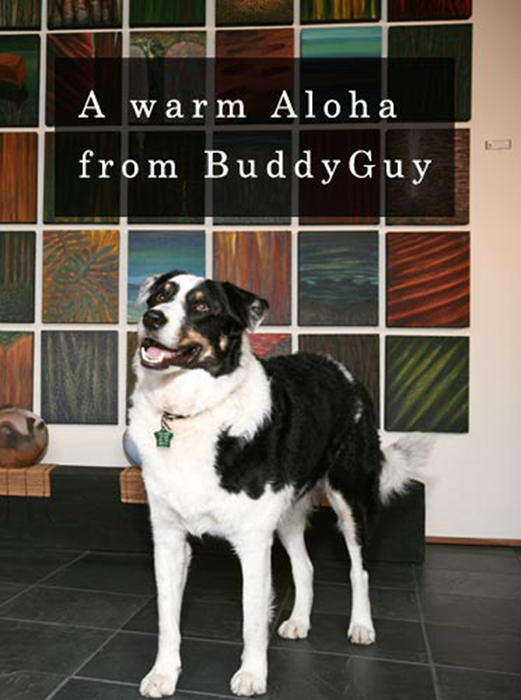 Aloha from Buddy Guy